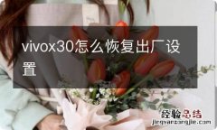 vivox30怎么恢复出厂设置