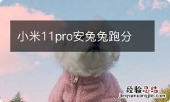 小米11pro安兔兔跑分