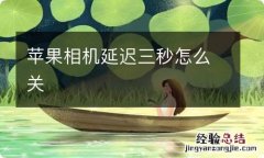 苹果相机延迟三秒怎么关