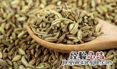 小茴香和小茴香籽是一种吗 大茴香籽和小茴香籽的区别