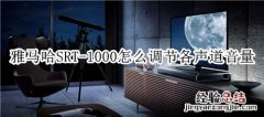 雅马哈SRT-1000回音壁音箱怎么调节各声道音量