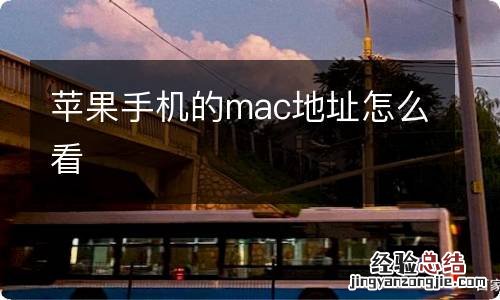 苹果手机的mac地址怎么看