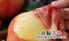 水蜜桃的皮可以吃吗 水蜜桃简介