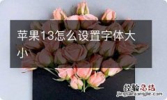 苹果13怎么设置字体大小