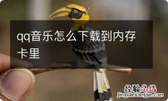 qq音乐怎么下载到内存卡里