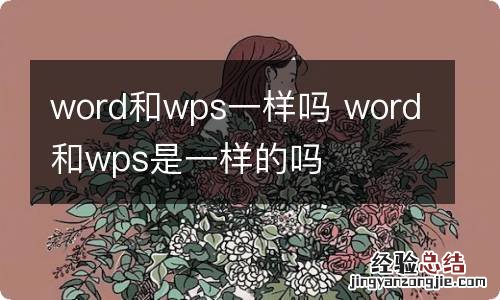 word和wps一样吗 word和wps是一样的吗