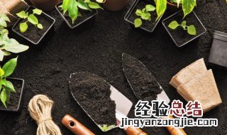 花盆的土要放多高 盆栽盆里放多少土合适