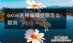 excel表格编辑受限怎么取消