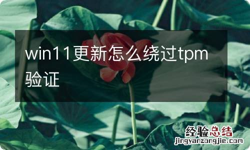 win11更新怎么绕过tpm验证