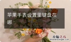 苹果手表设置里键盘在哪