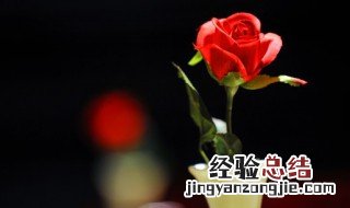 沙漠玫瑰用什么盆栽种的卖致魂怎储桔 沙漠玫瑰用什么盆栽种