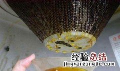 油垢快速清洗小妙招 油垢怎么快速去除