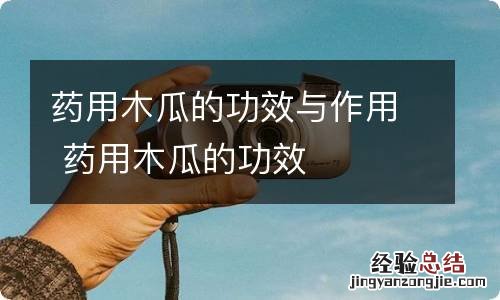 药用木瓜的功效与作用 药用木瓜的功效
