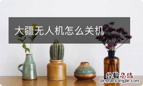 大疆无人机怎么关机