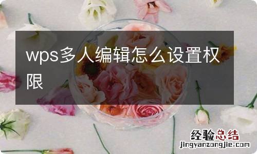 wps多人编辑怎么设置权限