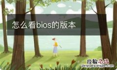 怎么看bios的版本