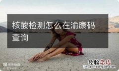 核酸检测怎么在渝康码查询