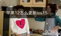 苹果12怎么更新ios15