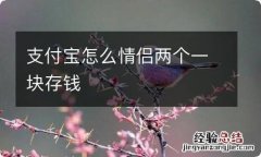 支付宝怎么情侣两个一块存钱