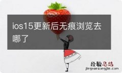 ios15更新后无痕浏览去哪了