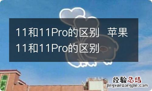 11和11Pro的区别苹果11和11Pro的区别