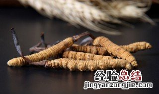 冬虫夏草可以泡水喝吗 冬虫夏草泡水喝可以吗