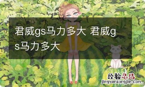 君威gs马力多大 君威gs马力多大