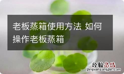 老板蒸箱使用方法 如何操作老板蒸箱