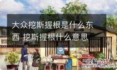 大众挖斯握根是什么东西 挖斯握根什么意思