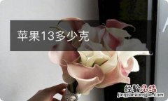 苹果13多少克