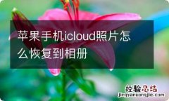 苹果手机icloud照片怎么恢复到相册