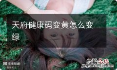 天府健康码变黄怎么变绿