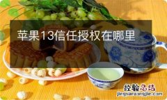 苹果13信任授权在哪里