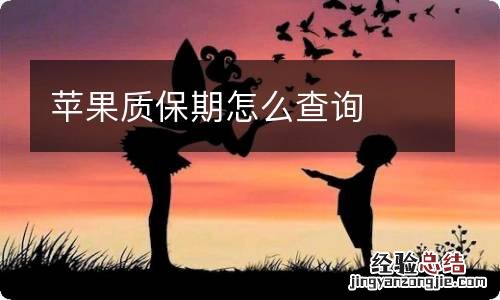 苹果质保期怎么查询