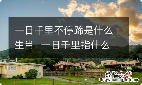 一日千里不停蹄是什么生肖一日千里指什么生肖