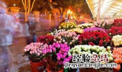 花朵延长花期方法 花朵延长花期方法图片