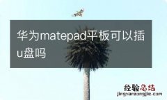 华为matepad平板可以插u盘吗