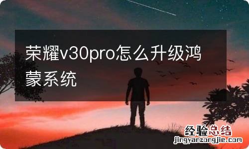 荣耀v30pro怎么升级鸿蒙系统