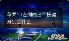 苹果13左侧的三个按键分别是什么