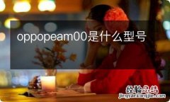 oppopeam00是什么型号