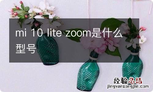 mi 10 lite zoom是什么型号