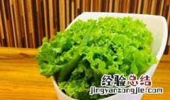 生菜为什么叫生菜 为什么叫生菜