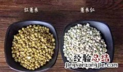 红薏米与白薏米有什么区别？ 红薏米与白薏米区别介绍