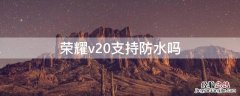 荣耀v20支持防水吗 荣耀v20支持防水吗