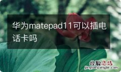 华为matepad11可以插电话卡吗