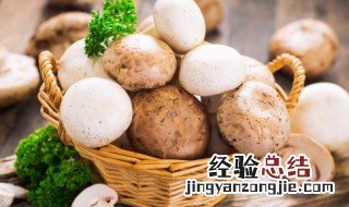 香菇和蘑菇那个营养更好一些 香菇和蘑菇那个营养更好