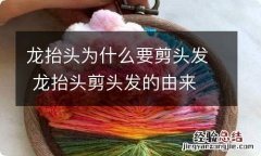 龙抬头为什么要剪头发 龙抬头剪头发的由来