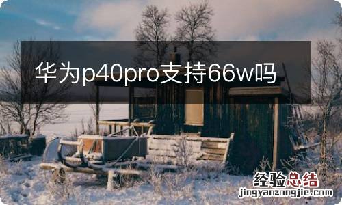 华为p40pro支持66w吗