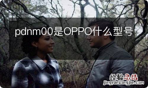 pdnm00是OPPO什么型号