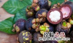 宝宝吞山竹核怎么排泄 宝宝吞了山竹核怎么办